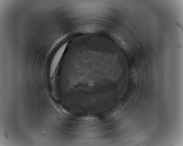 X0000097490400200803071744