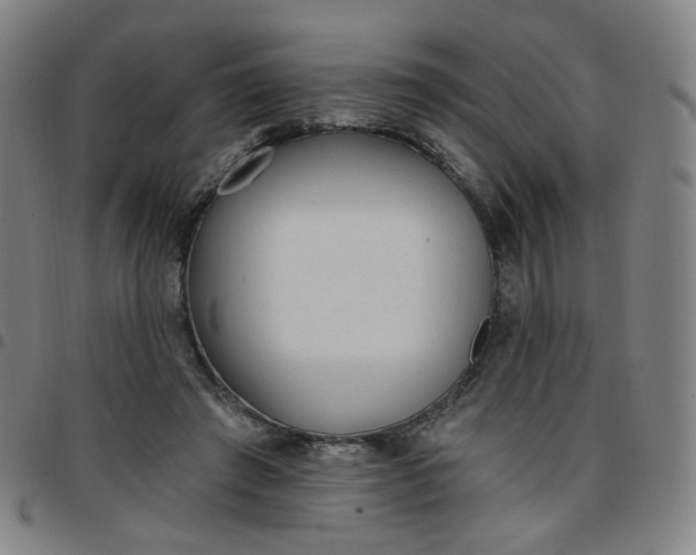 X0000097490401200803071744