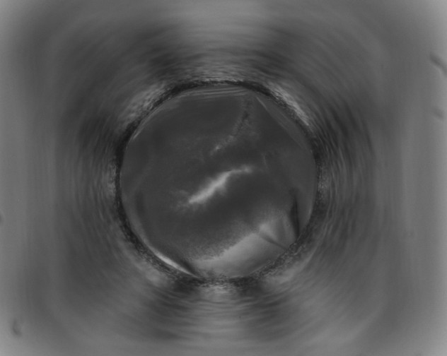 X0000097490402200803071744