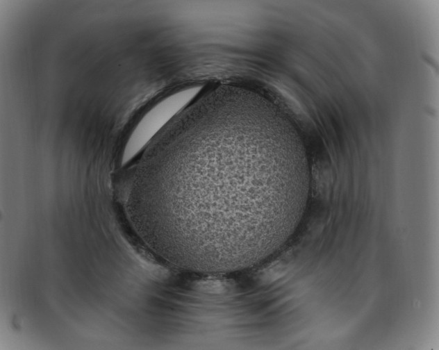 X0000097490404200803071744