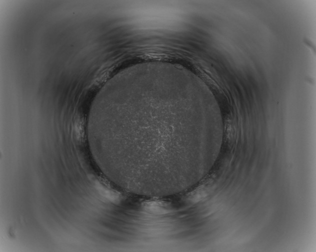 X0000097490408200803071744