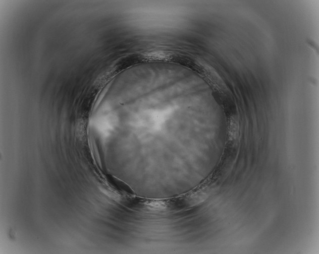 X0000097490409200803071744