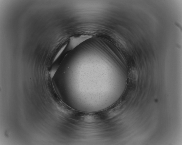 X0000097490412200803071744