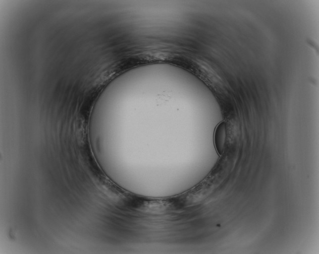 X0000097490414200803071743