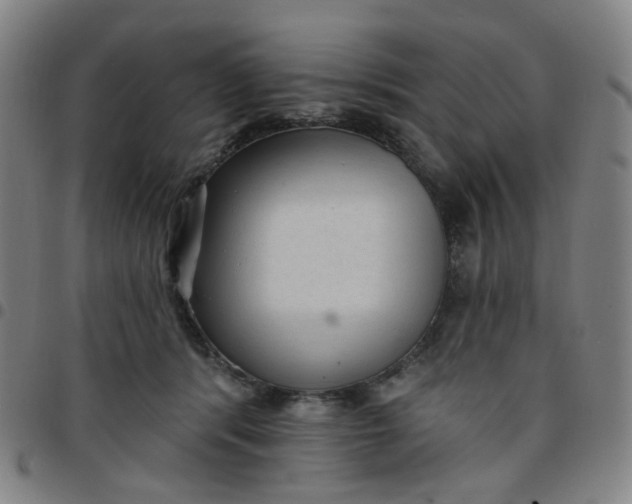 X0000097490416200803071743