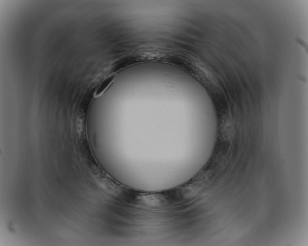 X0000097490417200803071743