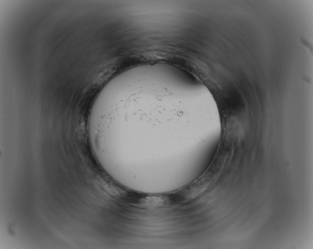 X0000097490418200803071743