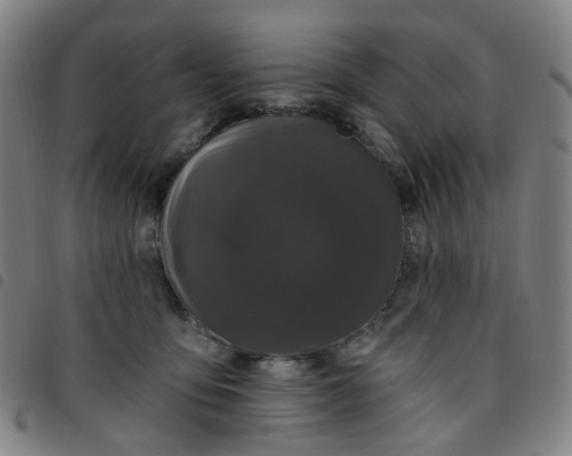 X0000097490419200803071743