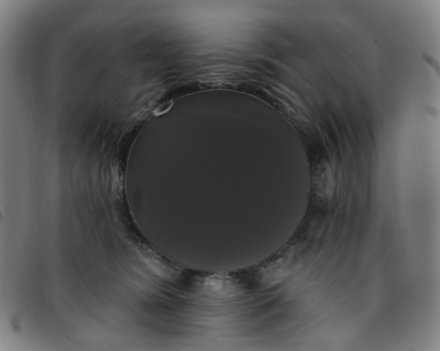 X0000097490420200803071743