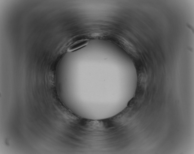 X0000097490421200803071743