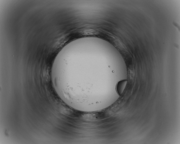 X0000097490422200803071743