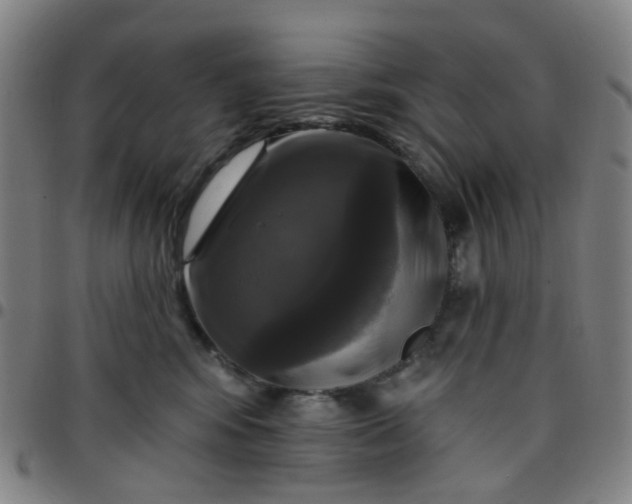 X0000097490424200803071743