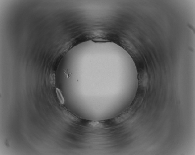 X0000097490425200803071743