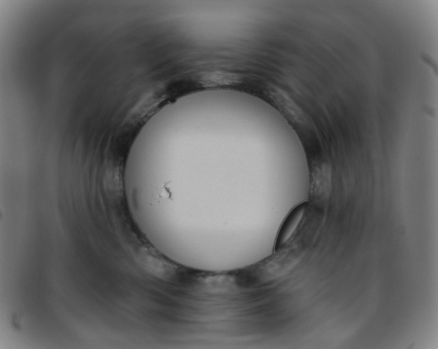 X0000097490426200803071743