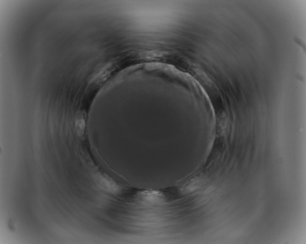 X0000097490427200803071743