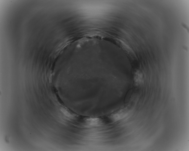 X0000097490428200803071743