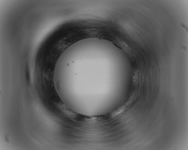 X0000097490430200803071743