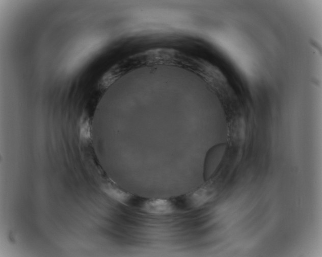 X0000097490431200803071743