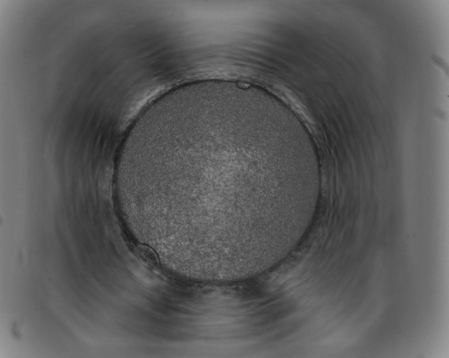 X0000097490434200803071742