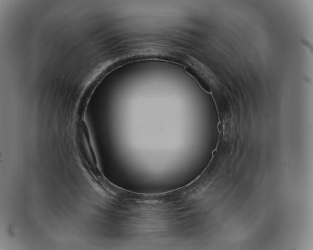 X0000097490436200803071742