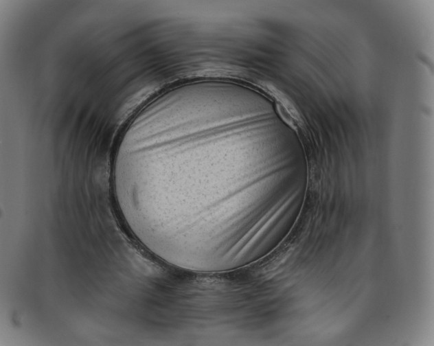 X0000097490437200803071742