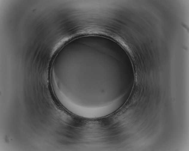 X0000097490438200803071742