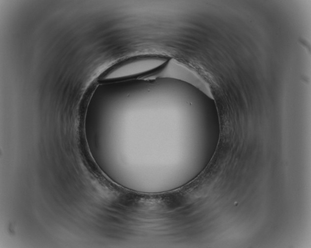 X0000097490440200803071743