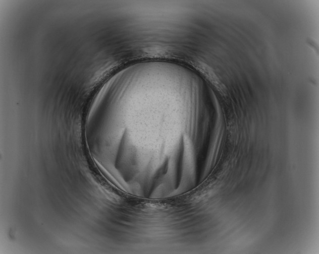 X0000097490442200803071743