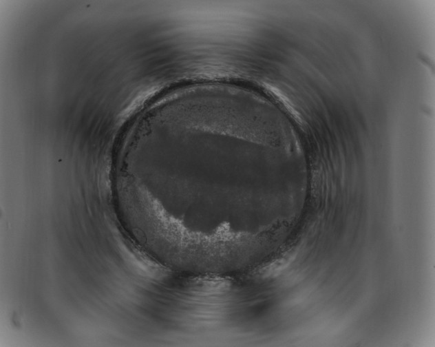 X0000097490443200803071743