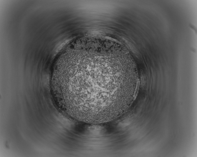 X0000097490444200803071743