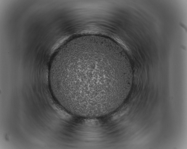 X0000097490446200803071743