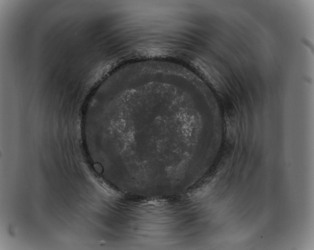 X0000097490447200803071743