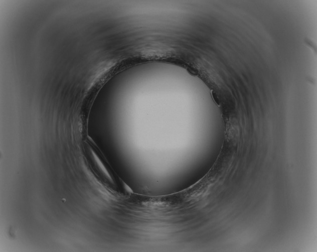 X0000097490448200803071743