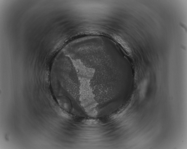 X0000097490449200803071743