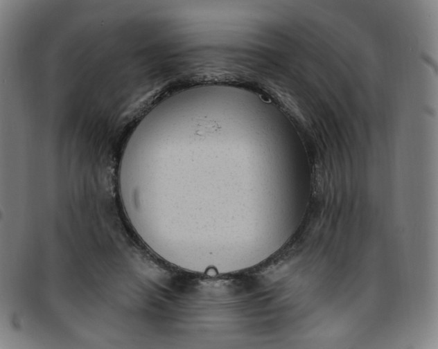 X0000097490450200803071743