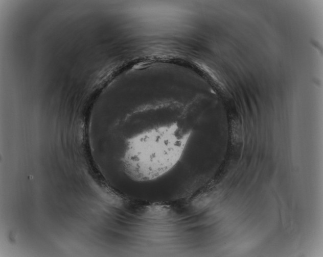 X0000097490451200803071743