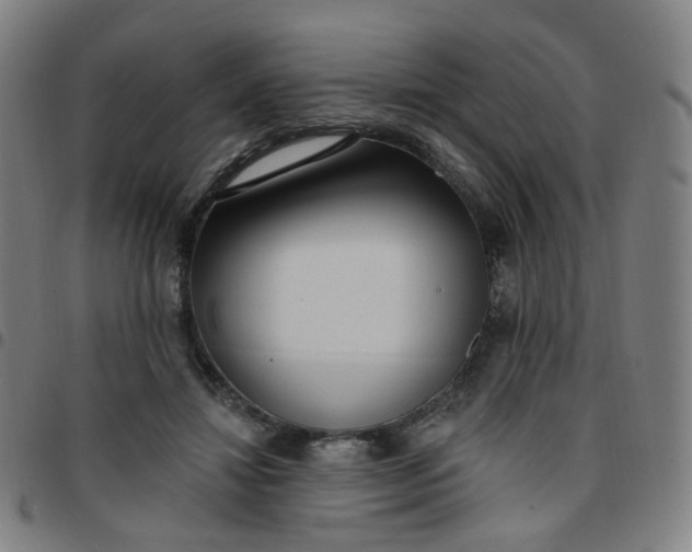 X0000097490452200803071743