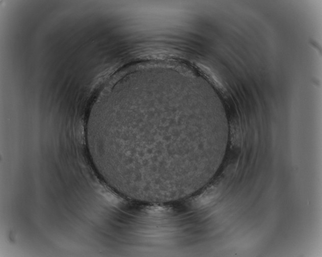 X0000097490453200803071743