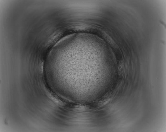 X0000097490454200803071743