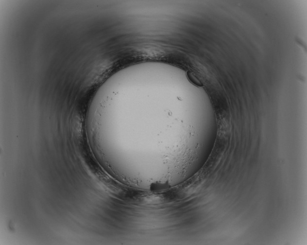 X0000097490456200803071743