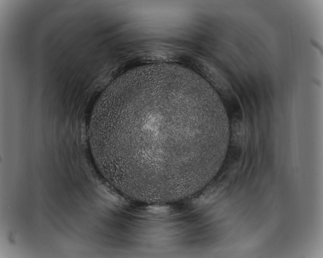 X0000097490457200803071743