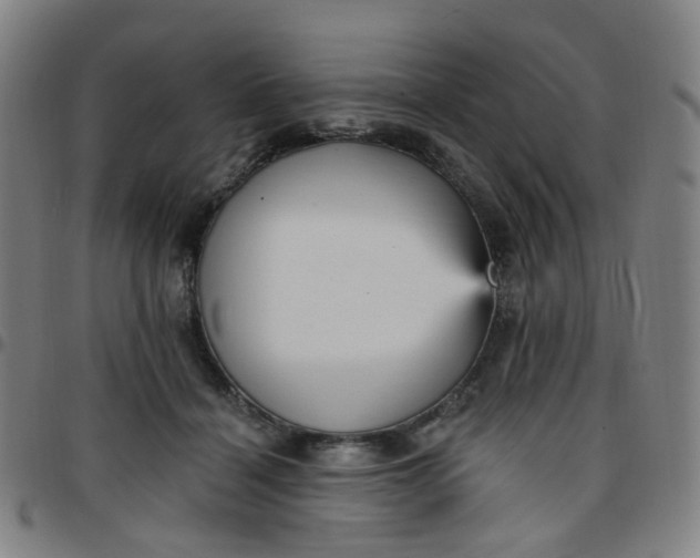 X0000097490460200803071743