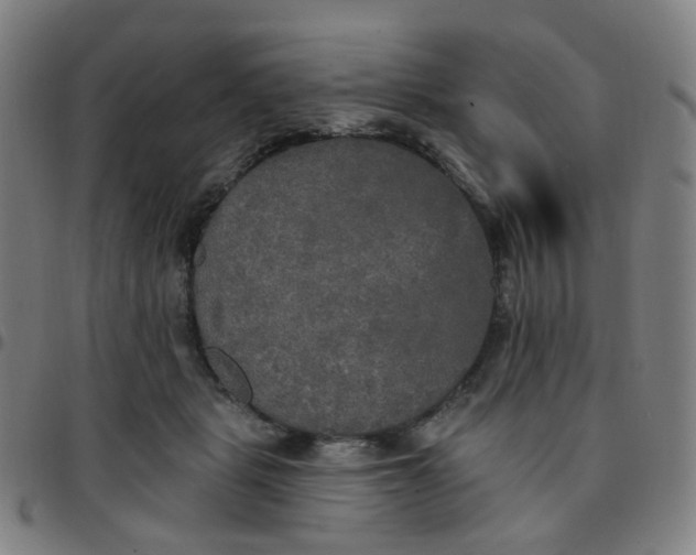 X0000097490461200803071743