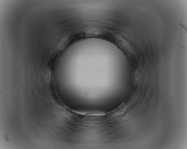 X0000097490463200803071743