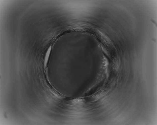 X0000097490465200803071743