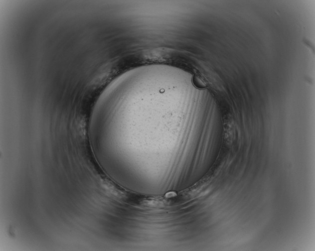 X0000097490466200803071743