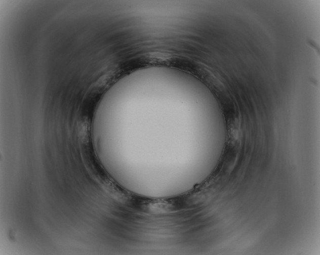 X0000097490468200803071743