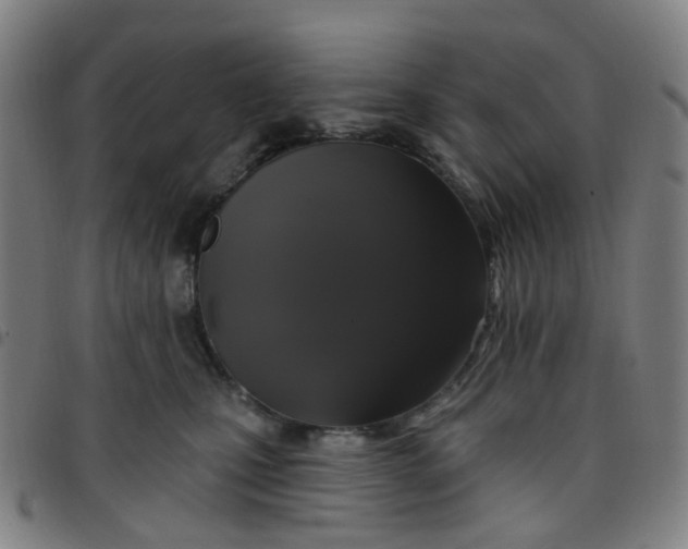 X0000097490471200803071743