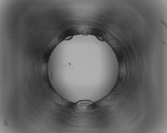 X0000097490473200803071743