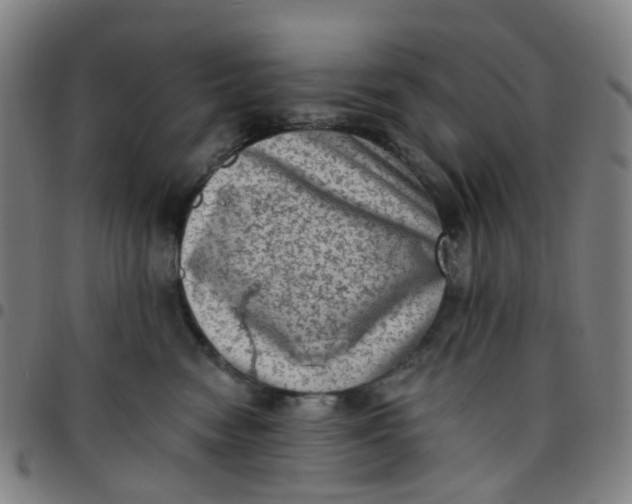 X0000097490474200803071743